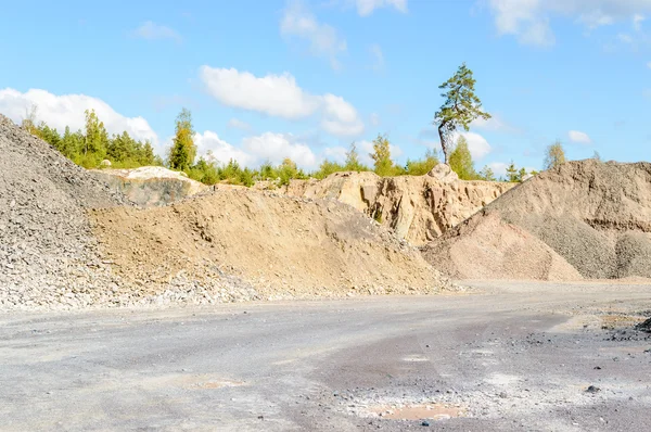 Träd på rim — Stockfoto