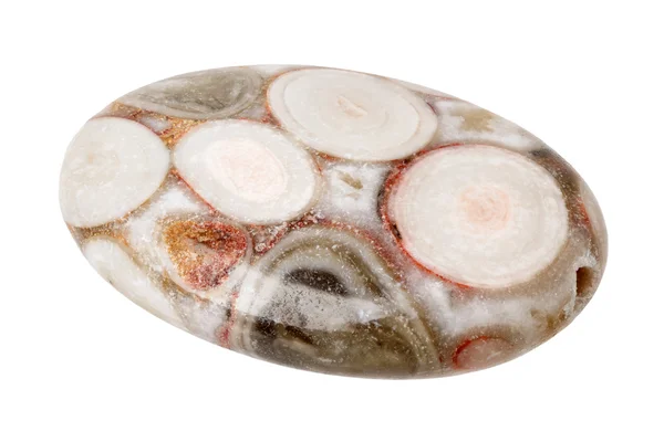 Jasper bead with fossils — Stock Photo, Image