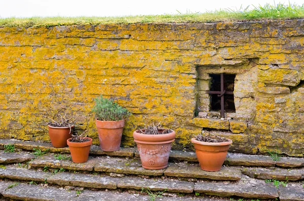 Pots by wall — Stock Photo, Image