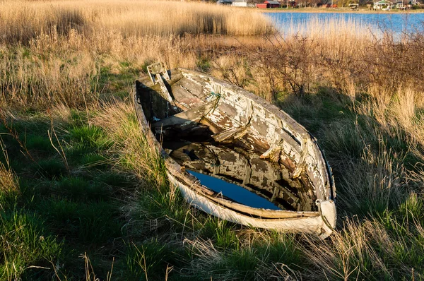 Старая лодка и трость — стоковое фото