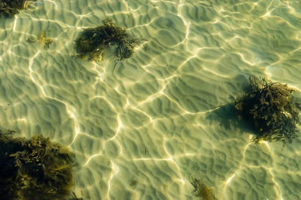 Kleine Sanddünen unter Wasser — Stockfoto