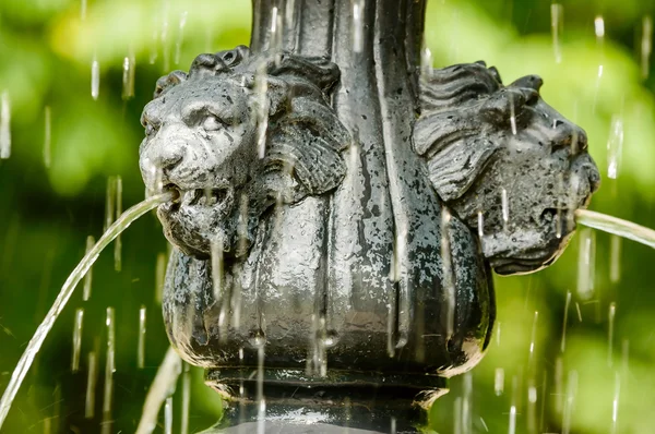 Water from lions mouth — Stock Photo, Image