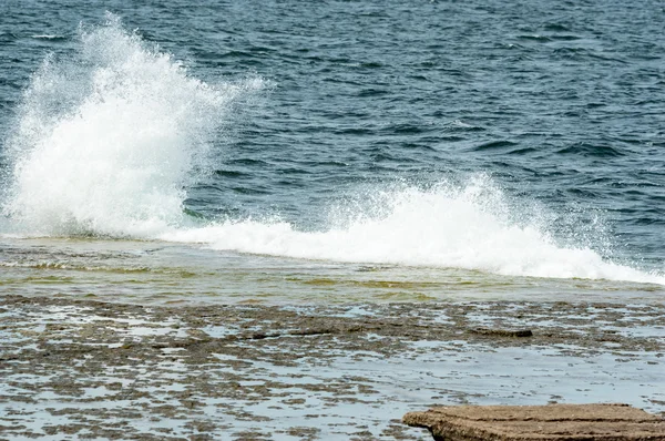 Волны на известняковом пляже Стоковая Картинка