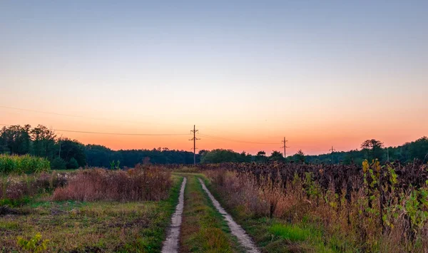 Zonsondergang Boven Het Bos Aan Rand Van Het Dorp — Stockfoto