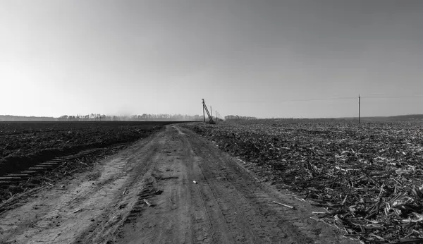 Tarla Arasındaki Yol Siyah Beyaz — Stok fotoğraf
