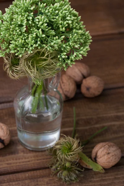 Still life with green flowers in a bottle and nuts — Stock Photo, Image