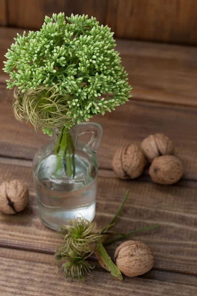 Still life with green flowers in a bottle and nuts — Stock Photo, Image