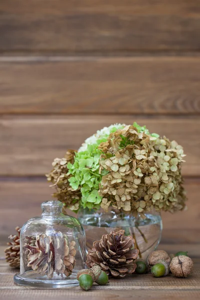Still life of pine cones, walnuts, acorns and a vase with greens — Stock Photo, Image