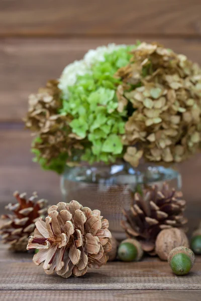 Still life of pine cones, walnuts, acorns and a vase with greens — Stock Photo, Image