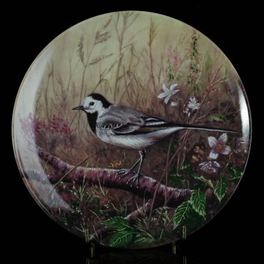 Sakura dalındaki parlak bir kuş daire şeklinde çiçek açar. Yuvarlak. Resim yapmak. Yuvarlak. El boyalı antika bir tabak. Dekopaj için kuşların resmi