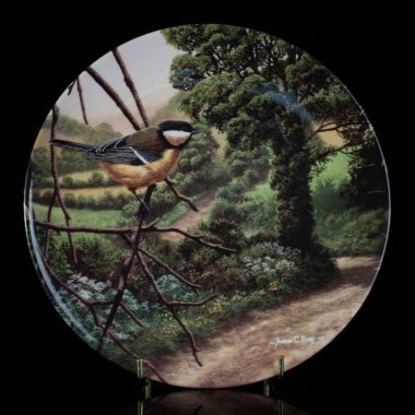 Baharda bir çember içinde dalda iki meme faresi kuşu. Yuvarlak. Resim yapmak. Yuvarlak. El boyalı antika bir tabak. dekupaj için kuşların görüntüsü ile resim.