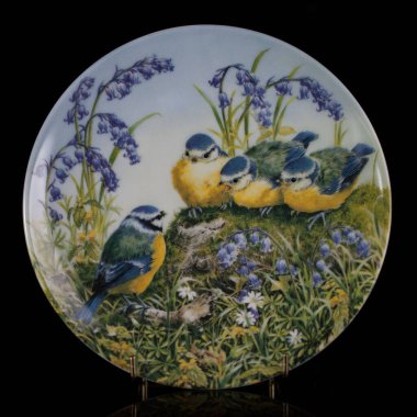 Baharda bir çember içinde dalda iki meme faresi kuşu. Yuvarlak. Resim yapmak. Yuvarlak. El boyalı antika bir tabak. dekupaj için kuşların görüntüsü ile resim.