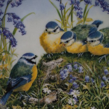 Baharda bir çember içinde dalda iki meme faresi kuşu. Yuvarlak. Resim yapmak. Yuvarlak. El boyalı antika bir tabak. dekupaj için kuşların görüntüsü ile resim.