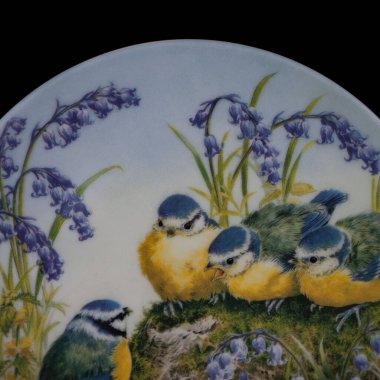 Baharda bir çember içinde dalda iki meme faresi kuşu. Yuvarlak. Resim yapmak. Yuvarlak. El boyalı antika bir tabak. dekupaj için kuşların görüntüsü ile resim.