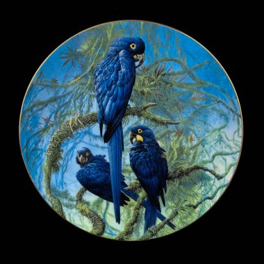 Sonbaharın parlak arka planı, iki renkli papağan bir dala oturur. Yuvarlak. El boyalı antika bir tabak. dekupaj için kuşların görüntüsü ile resim.