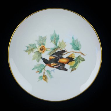 Sakura dalındaki parlak bir kuş daire şeklinde çiçek açar. Yuvarlak. Resim yapmak. Yuvarlak. El boyalı antika bir tabak. Dekopaj için kuşların resmi