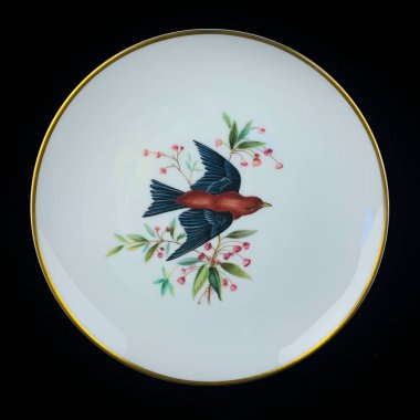 Sakura dalındaki parlak bir kuş daire şeklinde çiçek açar. Yuvarlak. Resim yapmak. Yuvarlak. El boyalı antika bir tabak. Dekopaj için kuşların resmi