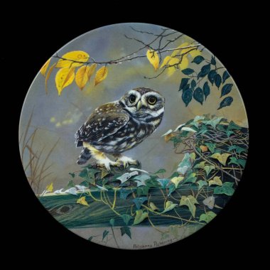 Ormandaki bir ağaç dalında baykuş yuvası. Yuvarlak. Resim yapmak. Yuvarlak. El boyalı antika bir tabak. dekupaj için kuşların görüntüsü ile resim.