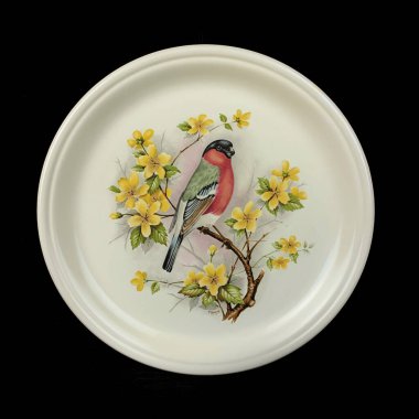 Baharda bir çember içinde dalda iki meme faresi kuşu. Yuvarlak. Resim yapmak. Yuvarlak. El boyalı antika bir tabak. dekupaj için kuşların görüntüsü ile resim.