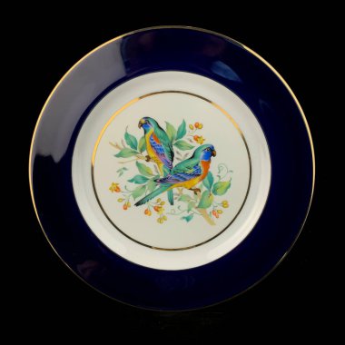 Sonbaharın parlak arka planı, iki renkli papağan bir dala oturur. Yuvarlak. El boyalı antika bir tabak. dekupaj için kuşların görüntüsü ile resim.