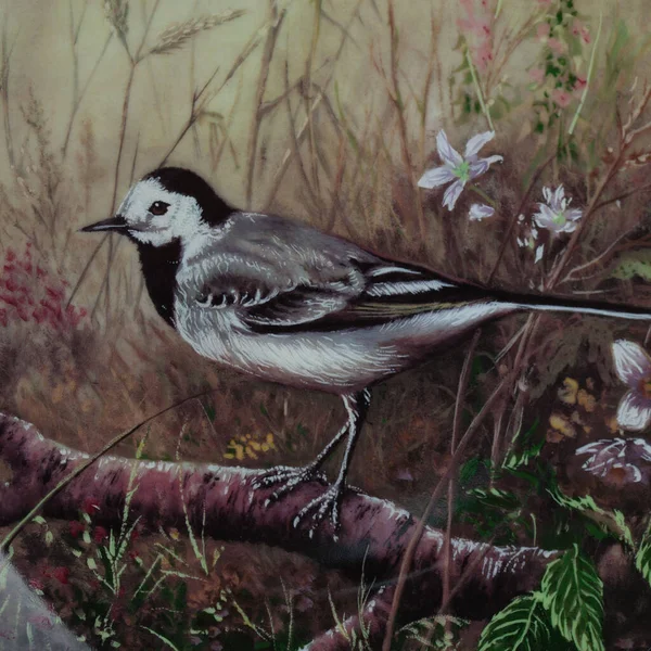 Sakura dalındaki parlak bir kuş daire şeklinde çiçek açar. Yuvarlak. Resim yapmak. Yuvarlak. El boyalı antika bir tabak. Dekopaj için kuşların resmi