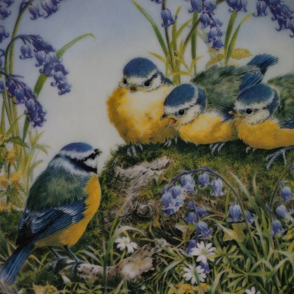 Baharda bir çember içinde dalda iki meme faresi kuşu. Yuvarlak. Resim yapmak. Yuvarlak. El boyalı antika bir tabak. dekupaj için kuşların görüntüsü ile resim.