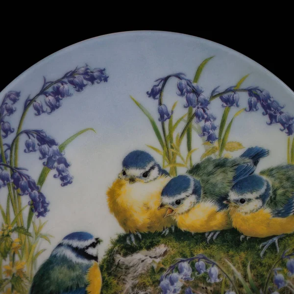 Baharda bir çember içinde dalda iki meme faresi kuşu. Yuvarlak. Resim yapmak. Yuvarlak. El boyalı antika bir tabak. dekupaj için kuşların görüntüsü ile resim.