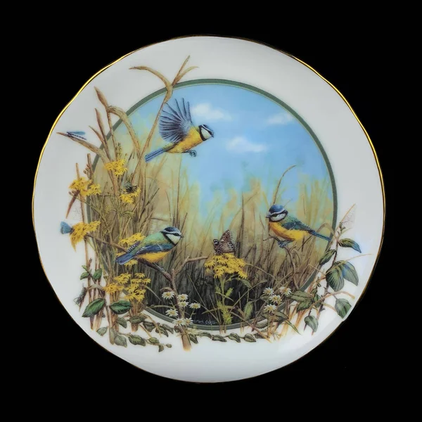 Baharda bir çember içinde dalda iki meme faresi kuşu. Yuvarlak. Resim yapmak. Yuvarlak. El boyalı antika bir tabak. dekupaj için kuşların görüntüsü ile resim.