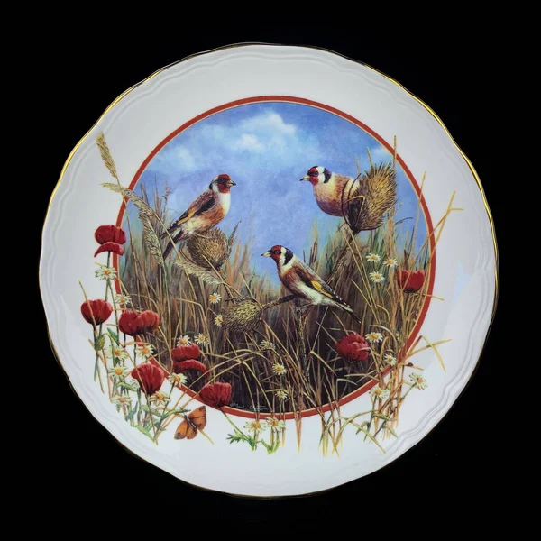 Baharda bir çember içinde dalda iki meme faresi kuşu. Yuvarlak. Resim yapmak. Yuvarlak. El boyalı antika bir tabak. dekupaj için kuşların görüntüsü ile resim.