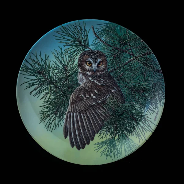 Owl Sidt Tree Branch Forest Painting Shape Antique Plate Hand — Stock Photo, Image