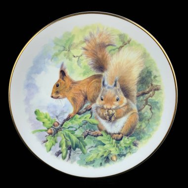 Sincap tasvir eden antika yuvarlak tabaklar. Hayvanlı dekupaj için yuvarlak resim. Siyah izole edilmiş arka planda sincaplı yuvarlak resim