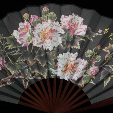 Siyah izole edilmiş arka planda boyanmış çiçekleri olan antika gri vantilatör. Çinlilerin yakın plan resimli hayranı. çiçek yelpazesi