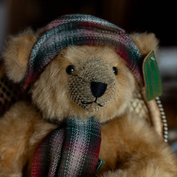 Klasik oyuncak ayıcık. yumuşak ayı oyuncağı izole edilmiş siyah arka planda