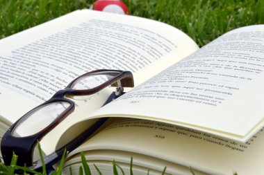 kitap ve gözlük