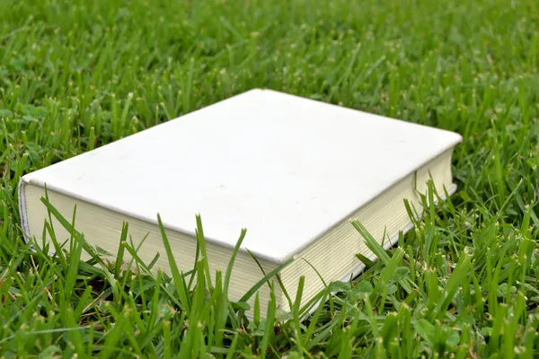 Book and grass — Stock Photo, Image