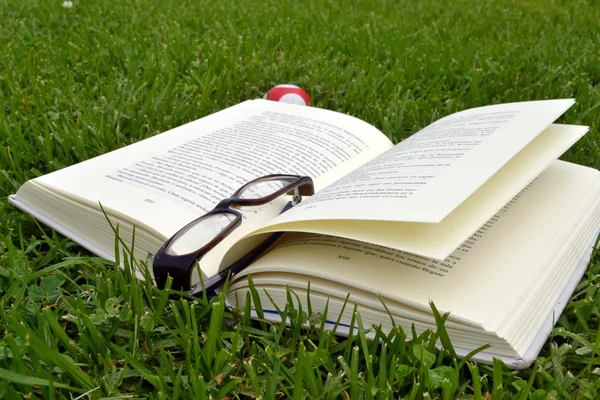 Livre et lunettes — Photo