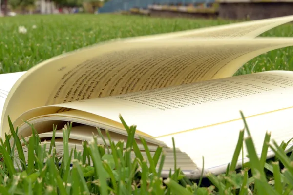 Libro con fondo verde —  Fotos de Stock