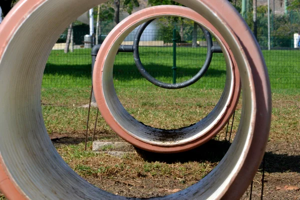 Parque de entrenamiento perro — Foto de Stock