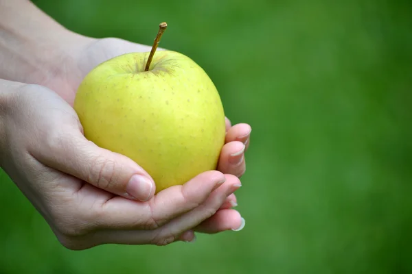 Manzana en manos — Foto de Stock