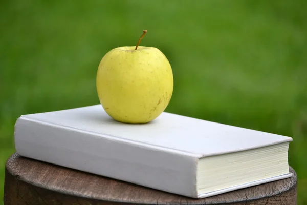 Μήλο και το βιβλίο στο ξύλο — Φωτογραφία Αρχείου
