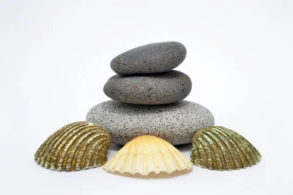 Zen stones with conch — Stock Photo, Image