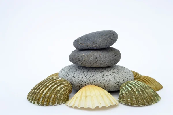 Zenové kameny s lasturou — Stock fotografie