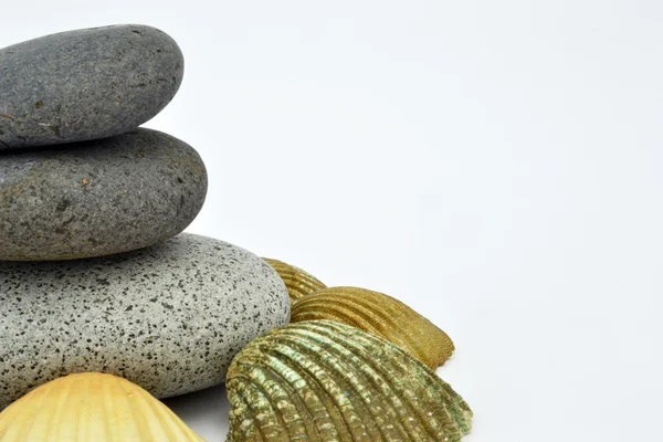 Zen stones with conch — Stock Photo, Image