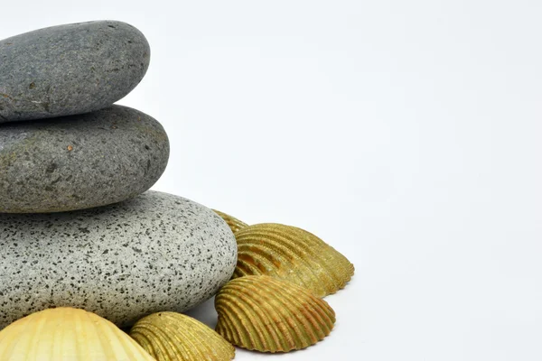 Zen stones with conch — Stock Photo, Image