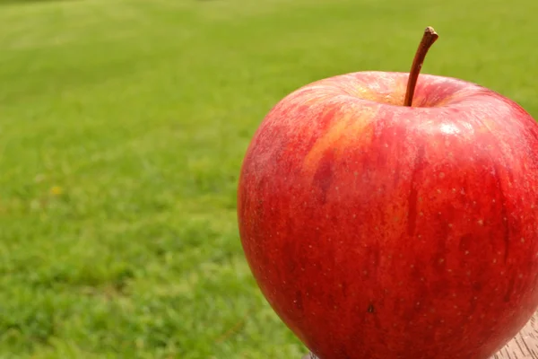 Rött äpple — Stockfoto