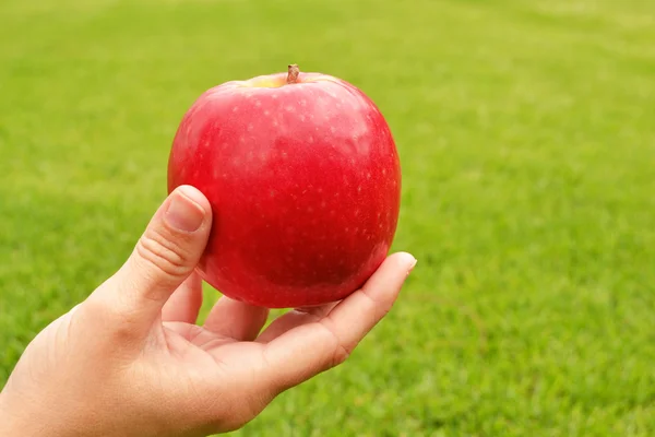 Elinde elma — Stok fotoğraf
