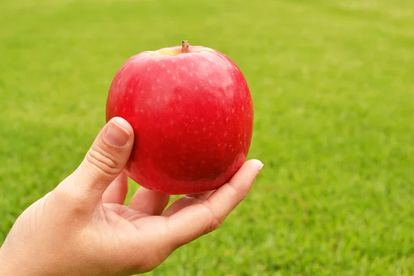 Appel in de hand — Stockfoto