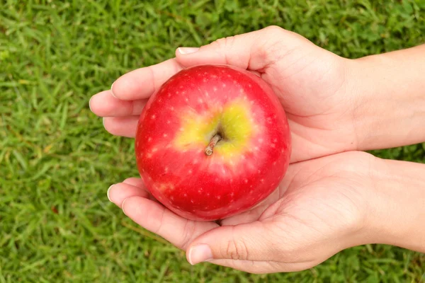 Äpple i handen — Stockfoto