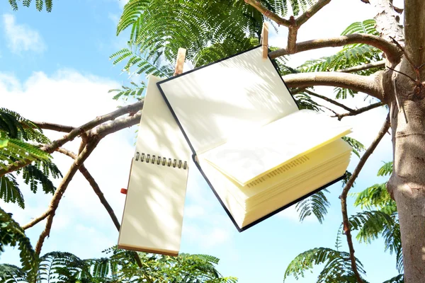 Libro y cuaderno colgando de un árbol —  Fotos de Stock
