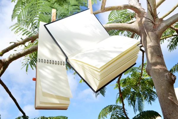 Buch und Notizbuch hängen an einem Baum — Stockfoto